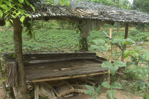 Fungsi Saung di Tengah Sawah dan perkembanganya – waras farm
